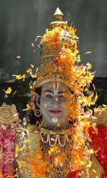 sri-srinivasa-padmavathi-kalyanam