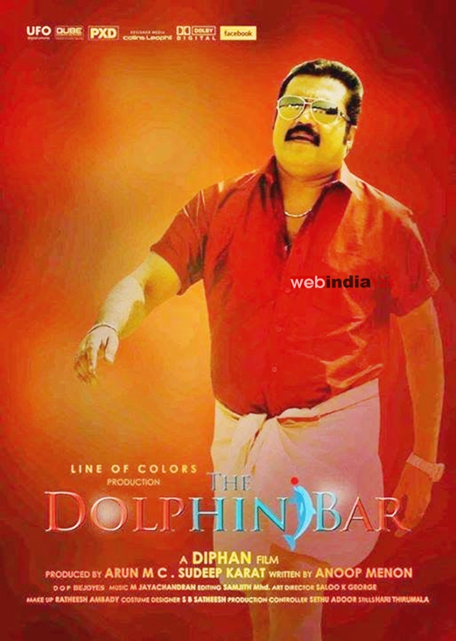 the-dolphins