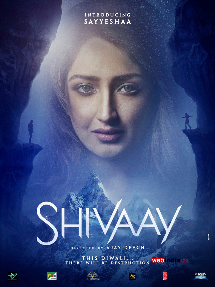 rating of movie shivaay