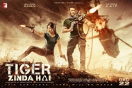 tiger-zinda-hai