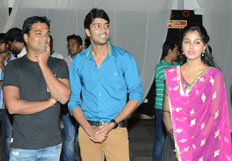 Brother of Bommali Audio Launch